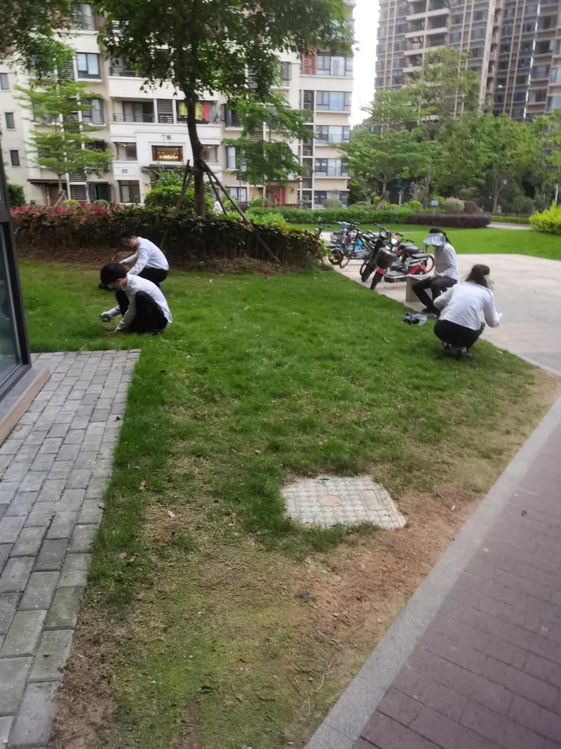 小区收停车费需要物价局审批吗